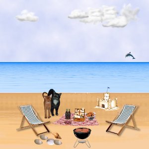 Beach Date